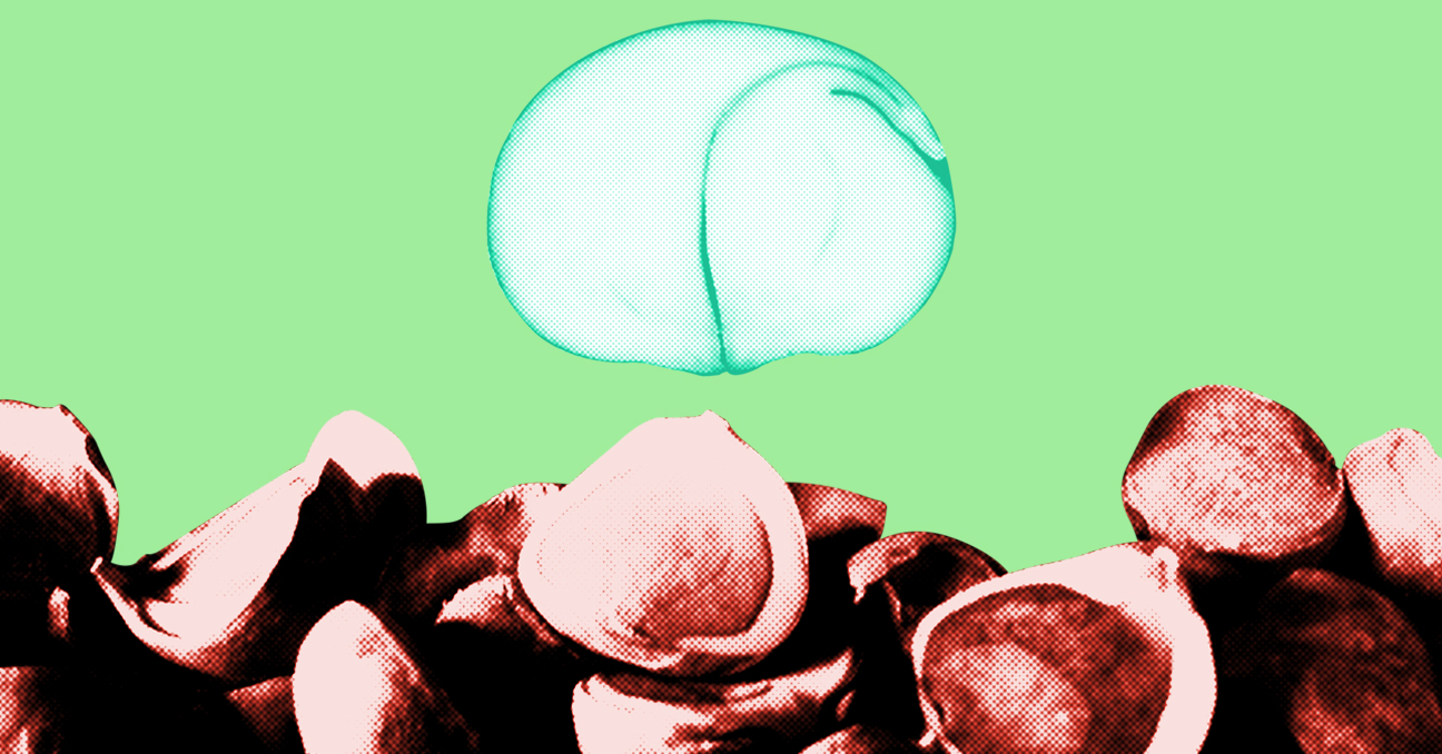 Semillas nativas: Ojushte